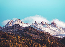 开云APP-下半场强势反扑 新疆男篮主场逆转胜广东